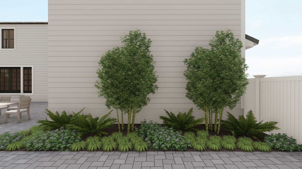 Greenwich yard with plants and trees