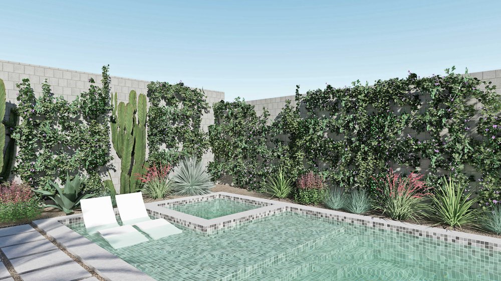 Las Vegas fenced pool area with plants