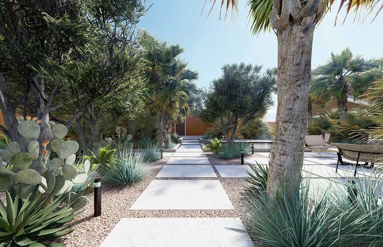 Las Vegas paved walkway showing trees and succulent plants