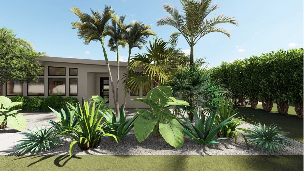 Palm Beach front yard design with trees