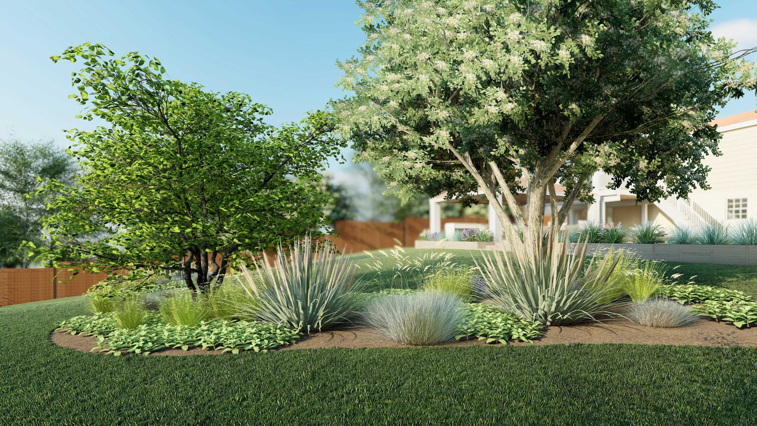 Close up plant and lawn in a Potomac yard