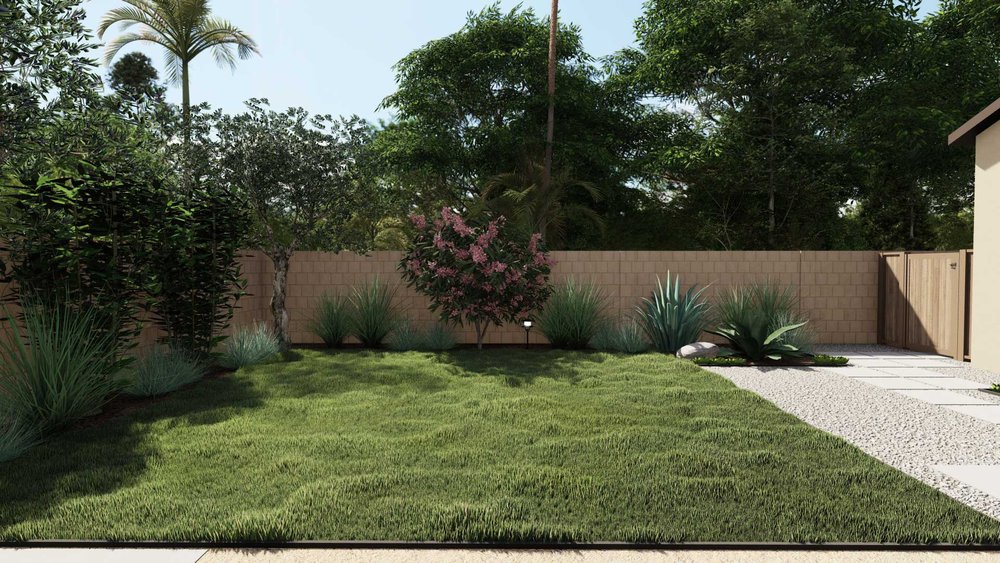 grass alternative groundcover planting in a backyard